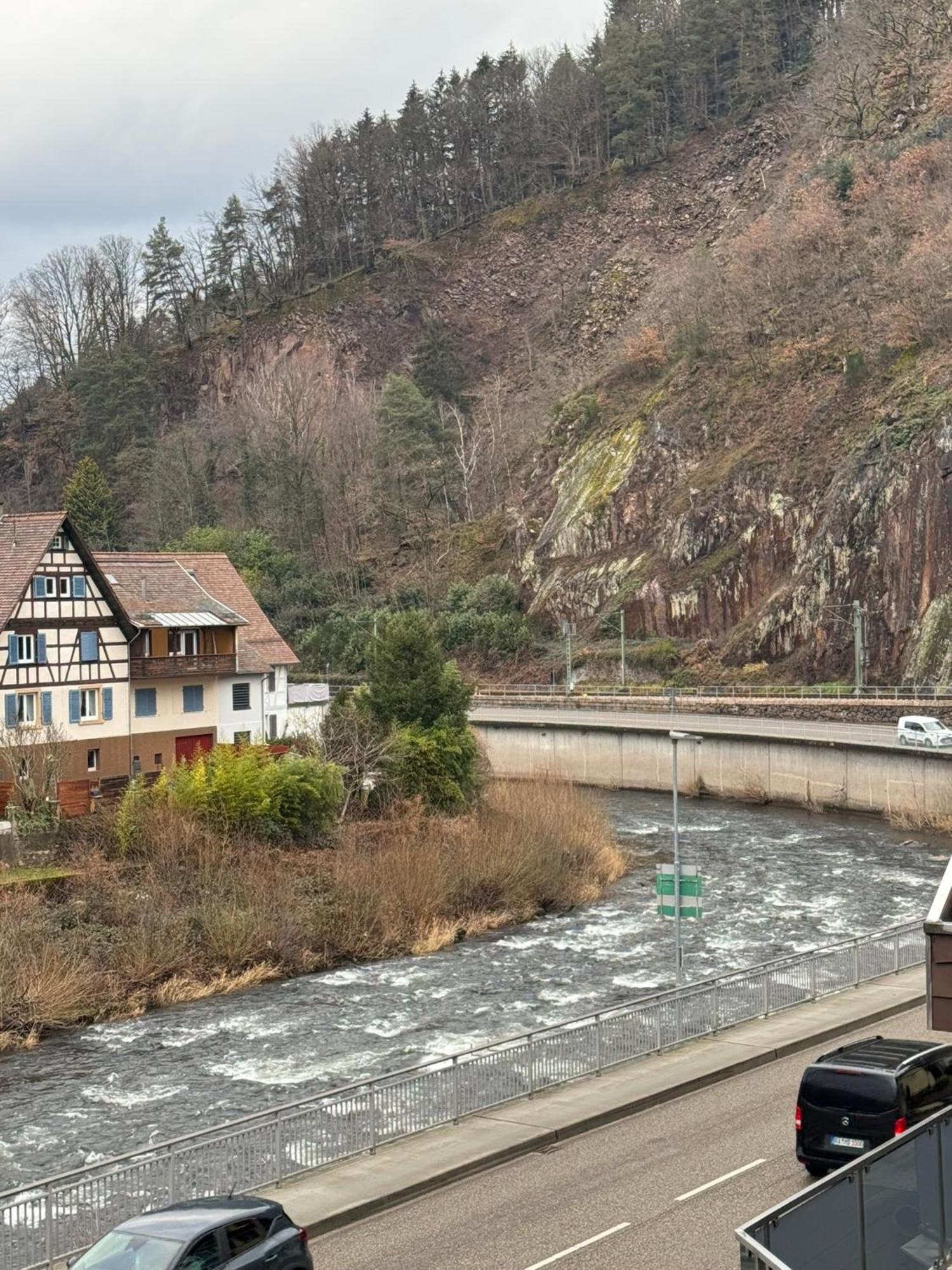 Hotel Gruener Baum - Hotel Im Murgtal, Schwarzwald 瓦森巴赫 外观 照片